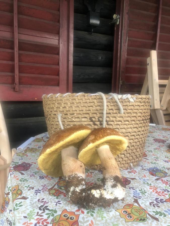 Tilia Cottage Banjska Stena Mitrovac Εξωτερικό φωτογραφία
